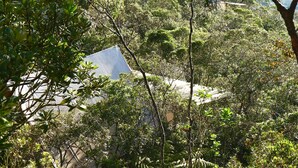 Un paysage verdoyant et luxuriant, avec une végétation dense et une structure blanche partiellement dissimulée par les arbres.