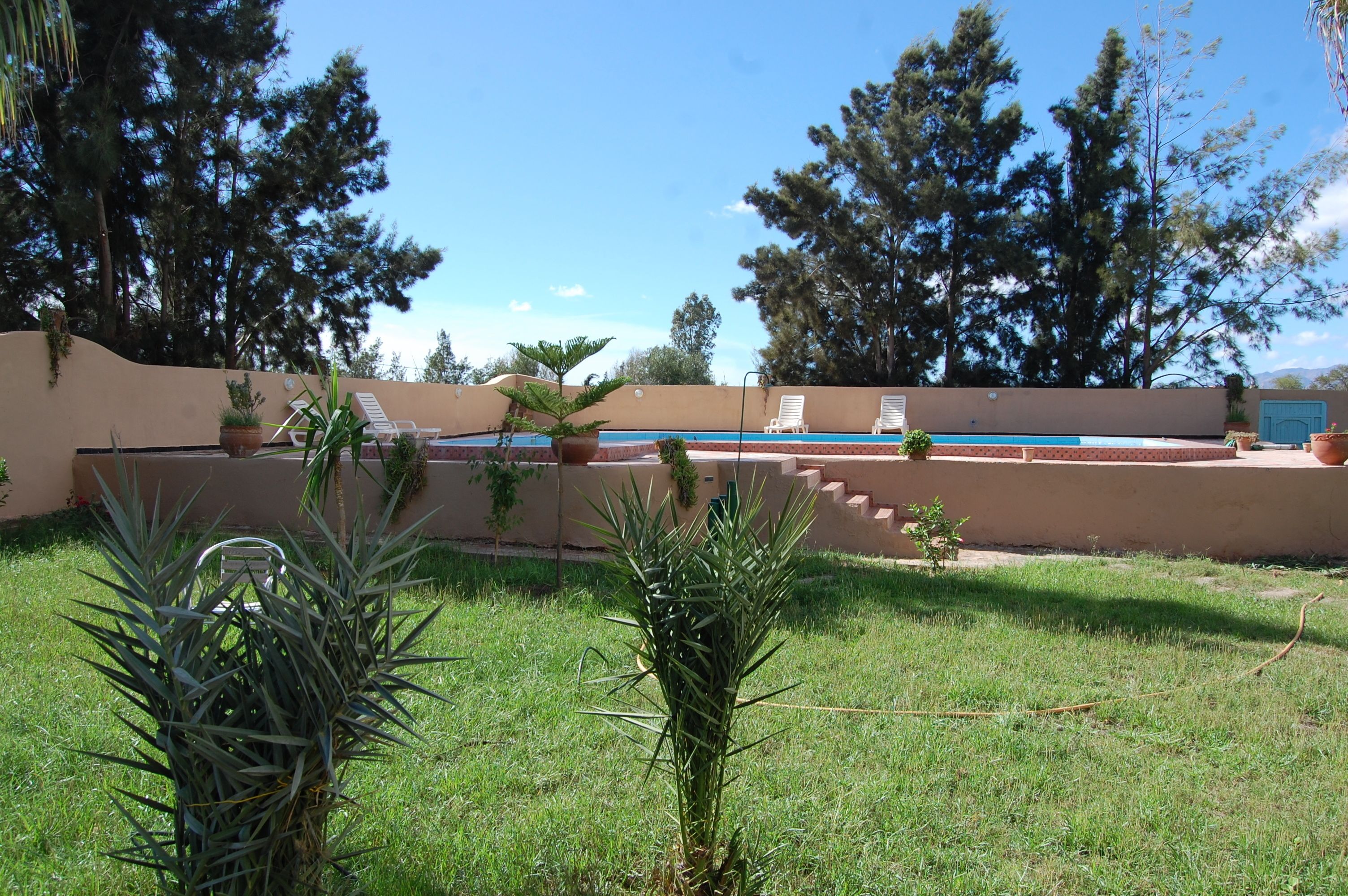 A pool area with lounge chairs, potted plants, and a clear sky.
