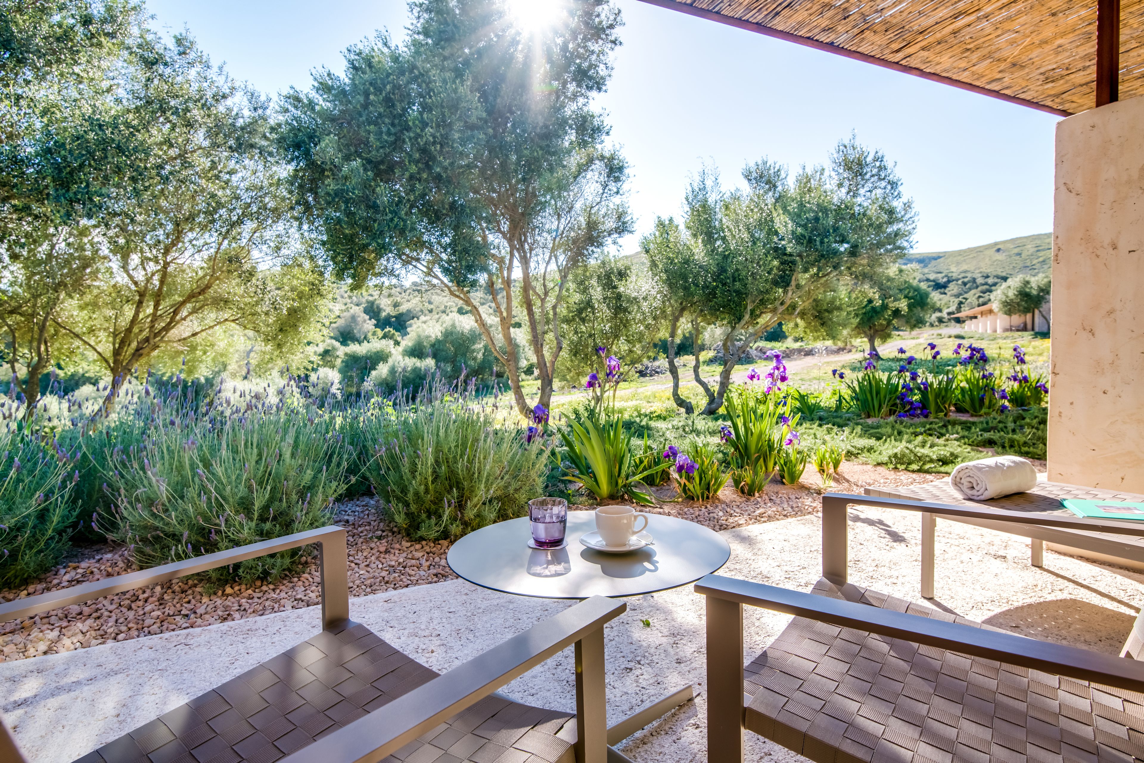 Eine Terrasse mit rundem Tisch und Stühlen, umgeben von einem Garten mit verschiedenen Pflanzen und Blumen.