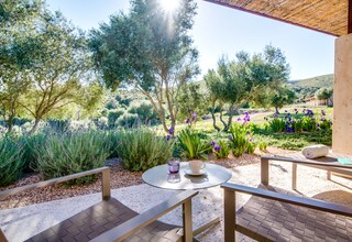 A patio with a round table and chairs, surrounded by a garden with various plants and flowers.