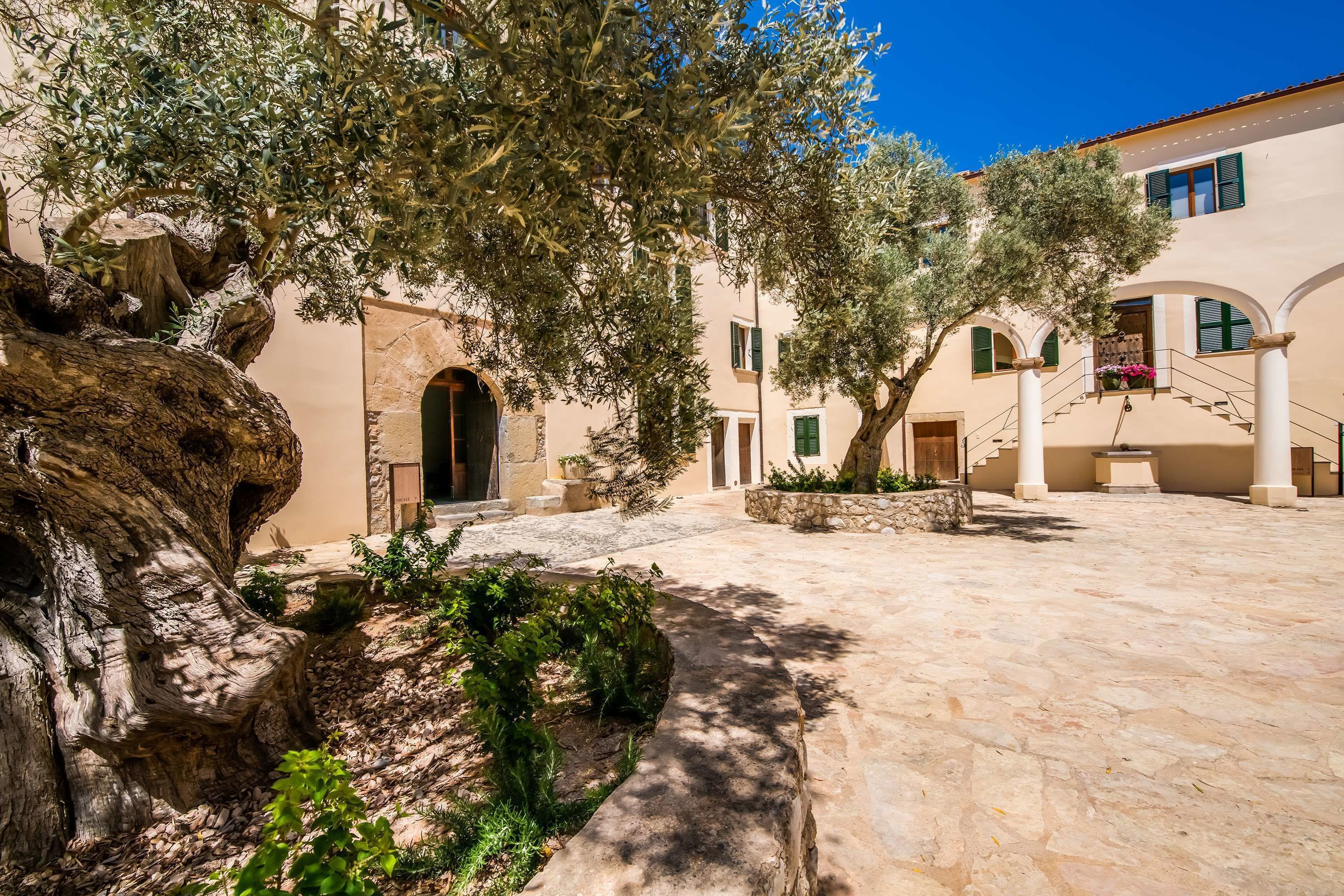 Un patio con suelo de piedra, olivos y un edificio con puertas y ventanas de arco.