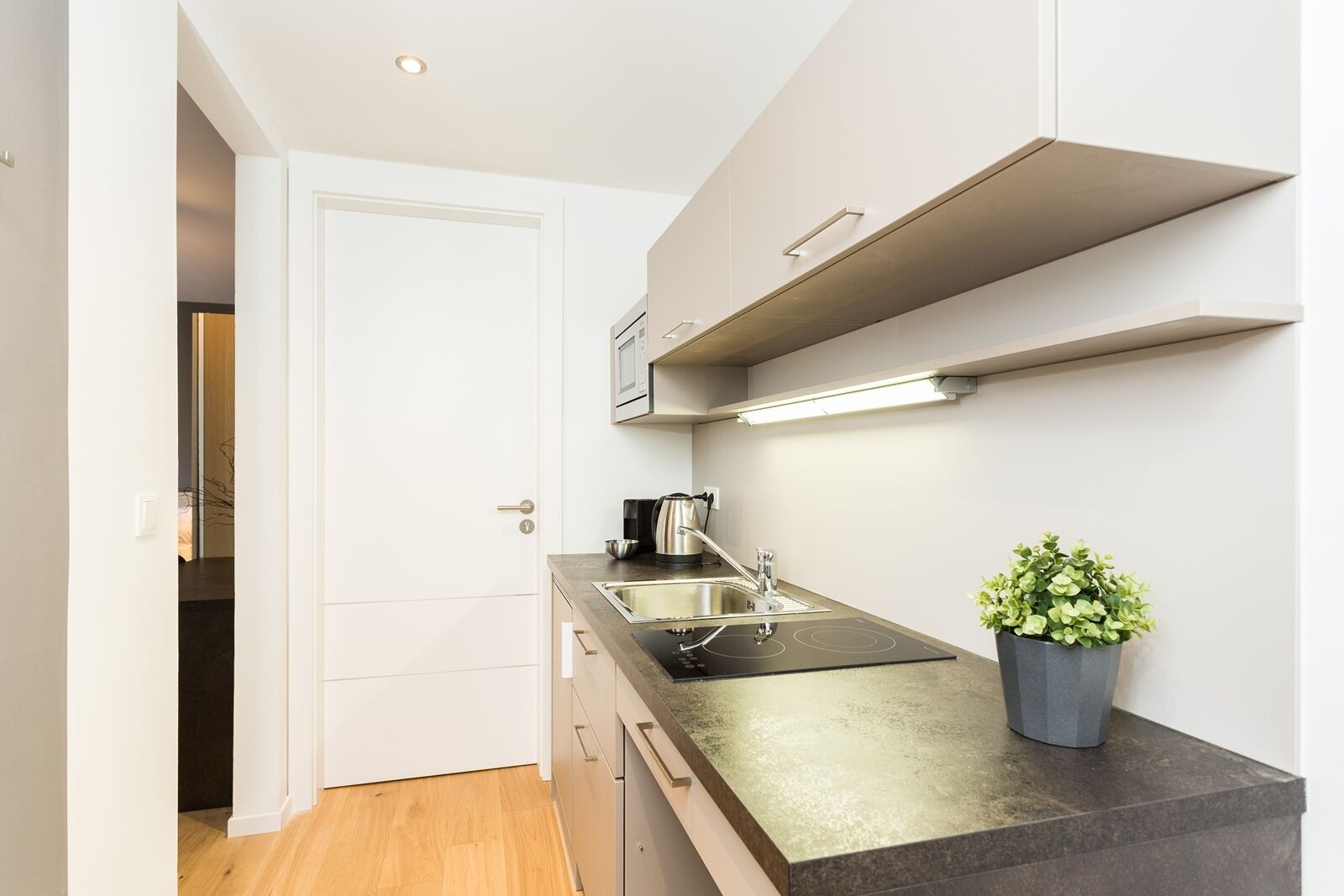 A modern kitchen with a black countertop, stainless steel sink, and a potted plant.