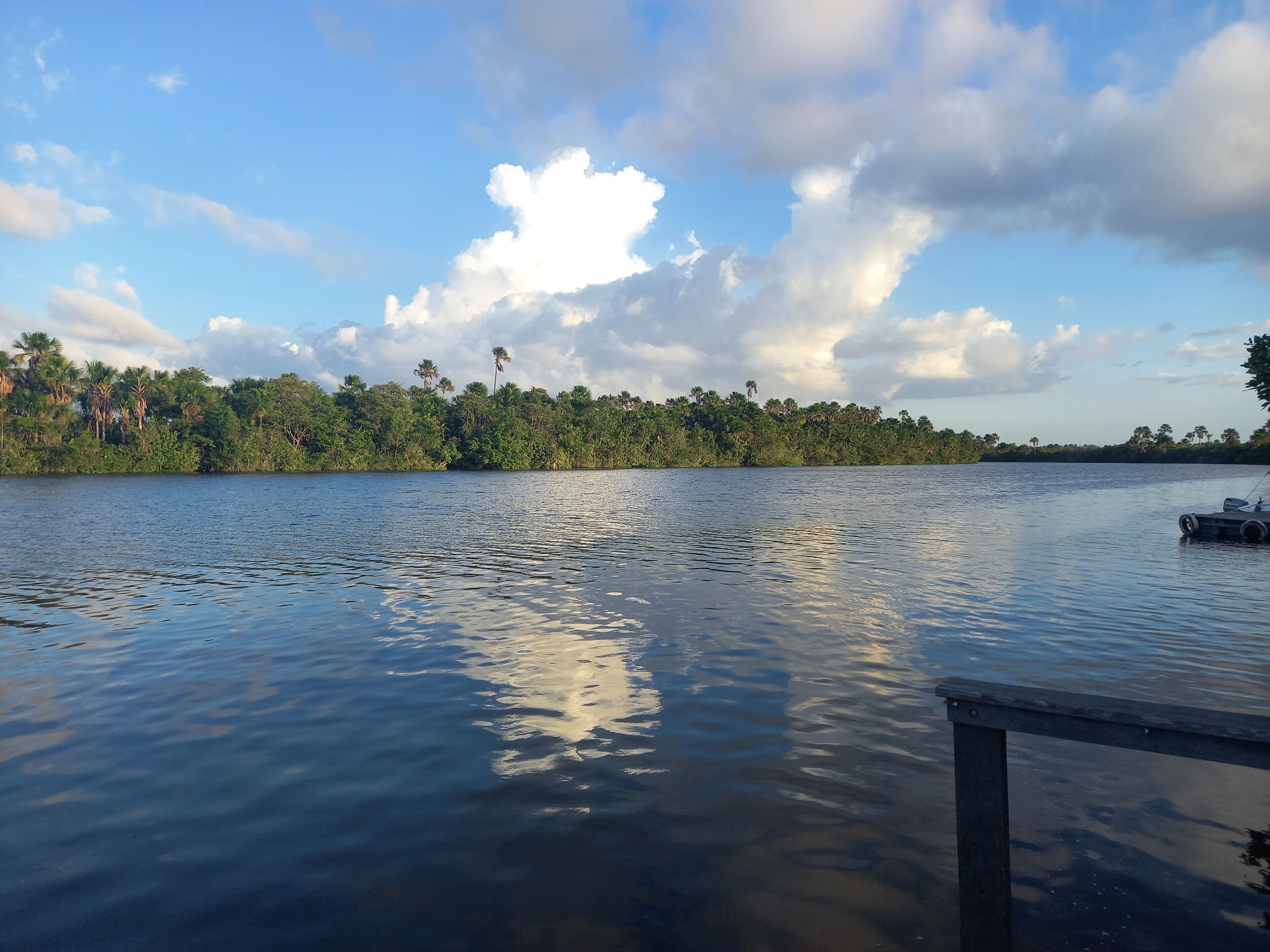 Un lac paisible, avec une jetée qui s’avance sur l’eau, entouré d’une végétation luxuriante et de palmiers, sous un ciel partiellement nuageux.