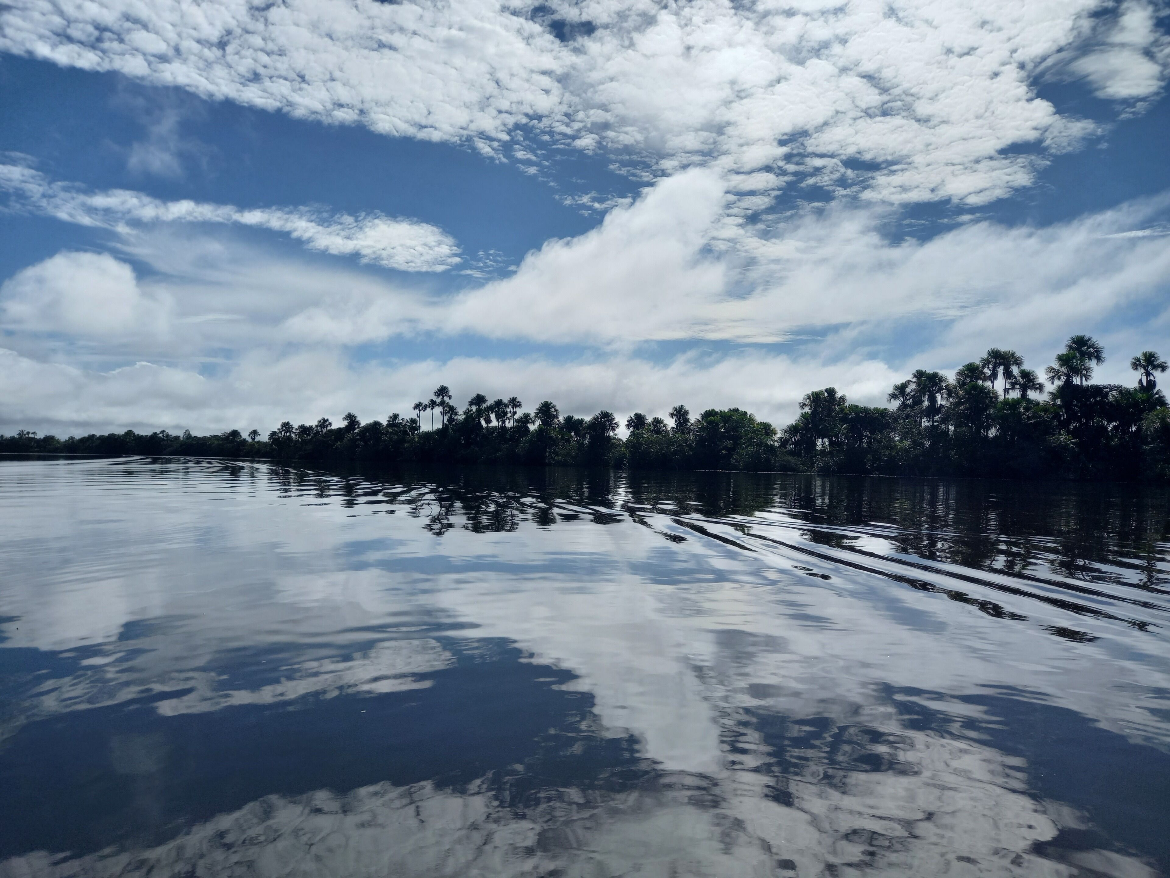 A calm body of water reflecting the sky and palm trees.