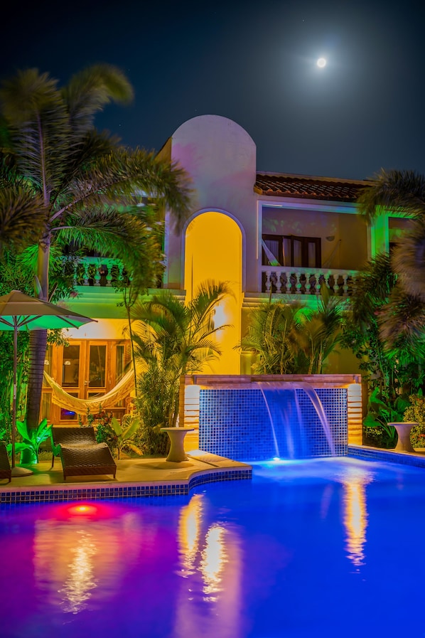 Outdoor pool, sun loungers