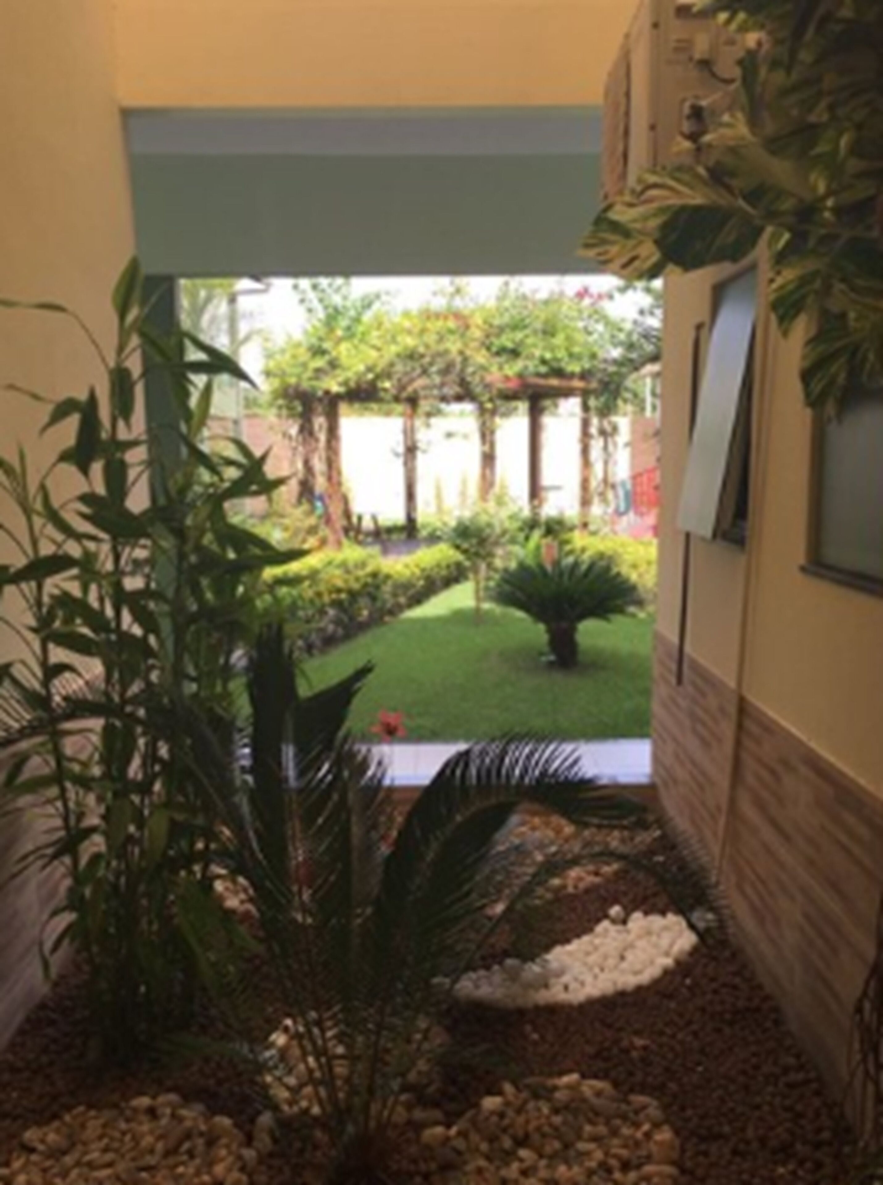 Un sendero estrecho que lleva a un pequeño jardín con diversas plantas y una pérgola.