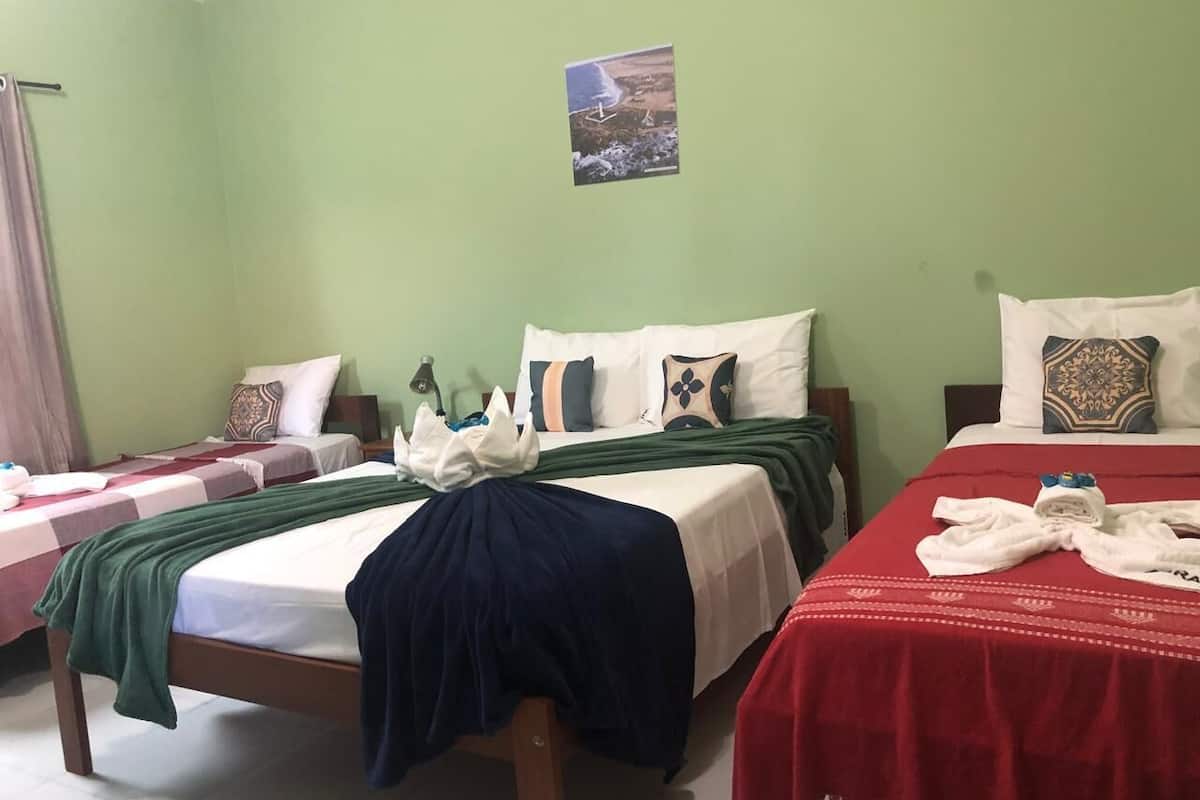 A hotel room with two beds, green walls, and a small picture on the wall.