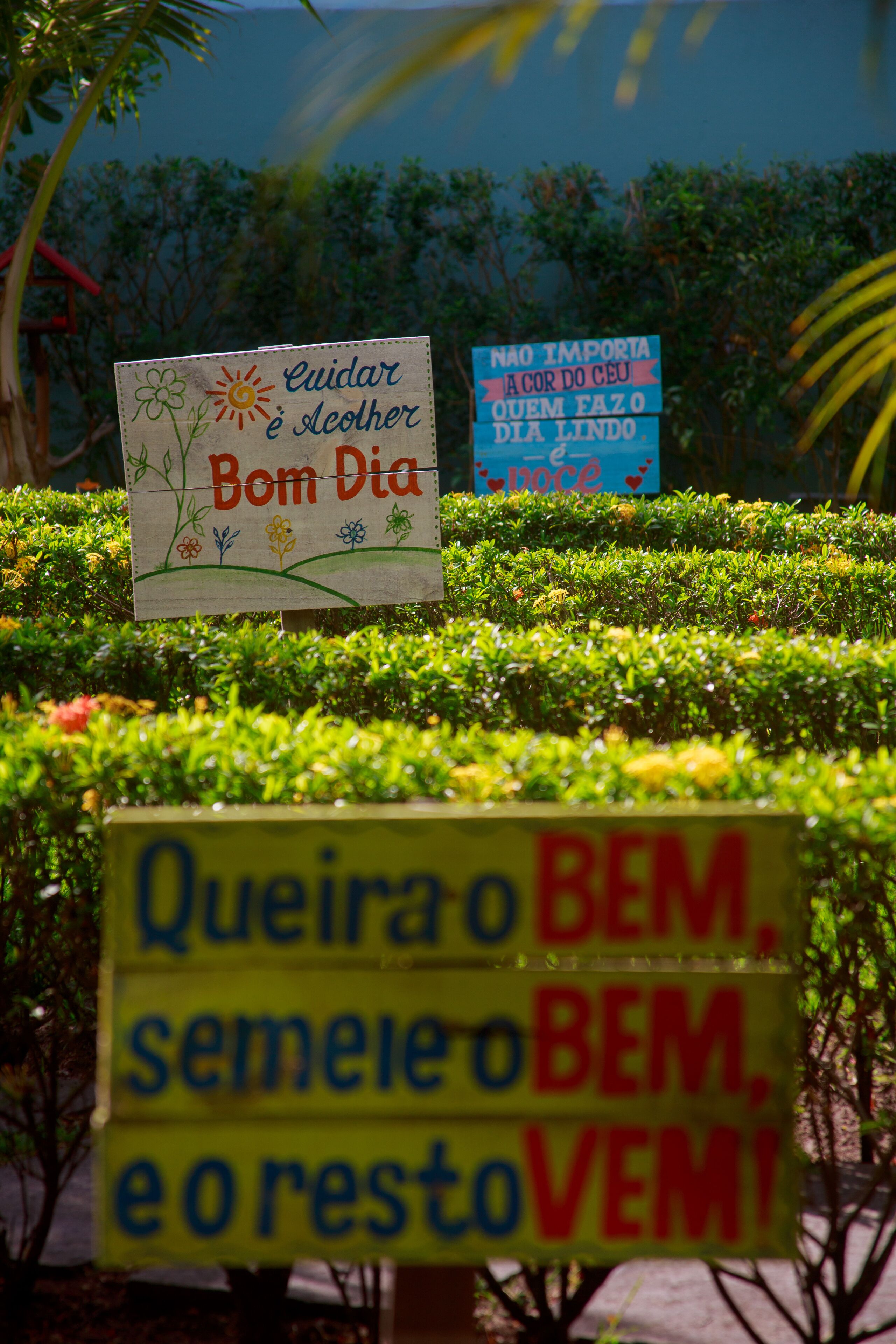 Carteles con mensajes en un jardín.