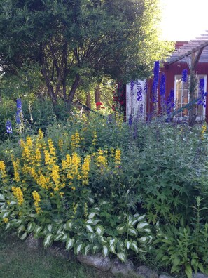 View from property - Björnåsen Bear Hill (Katrineholm)