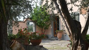 Un patio con plantas en macetas, un sendero de piedra y un edificio con puerta y ventanas.