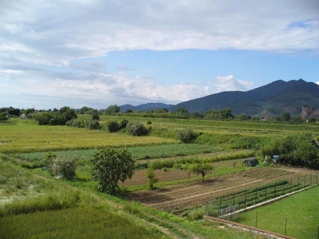 A rural landscape with fields, a tree, and distant mountains.