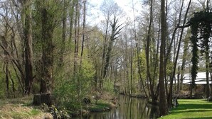 Un espace verdoyant avec un étang, des arbres et un banc en bois.