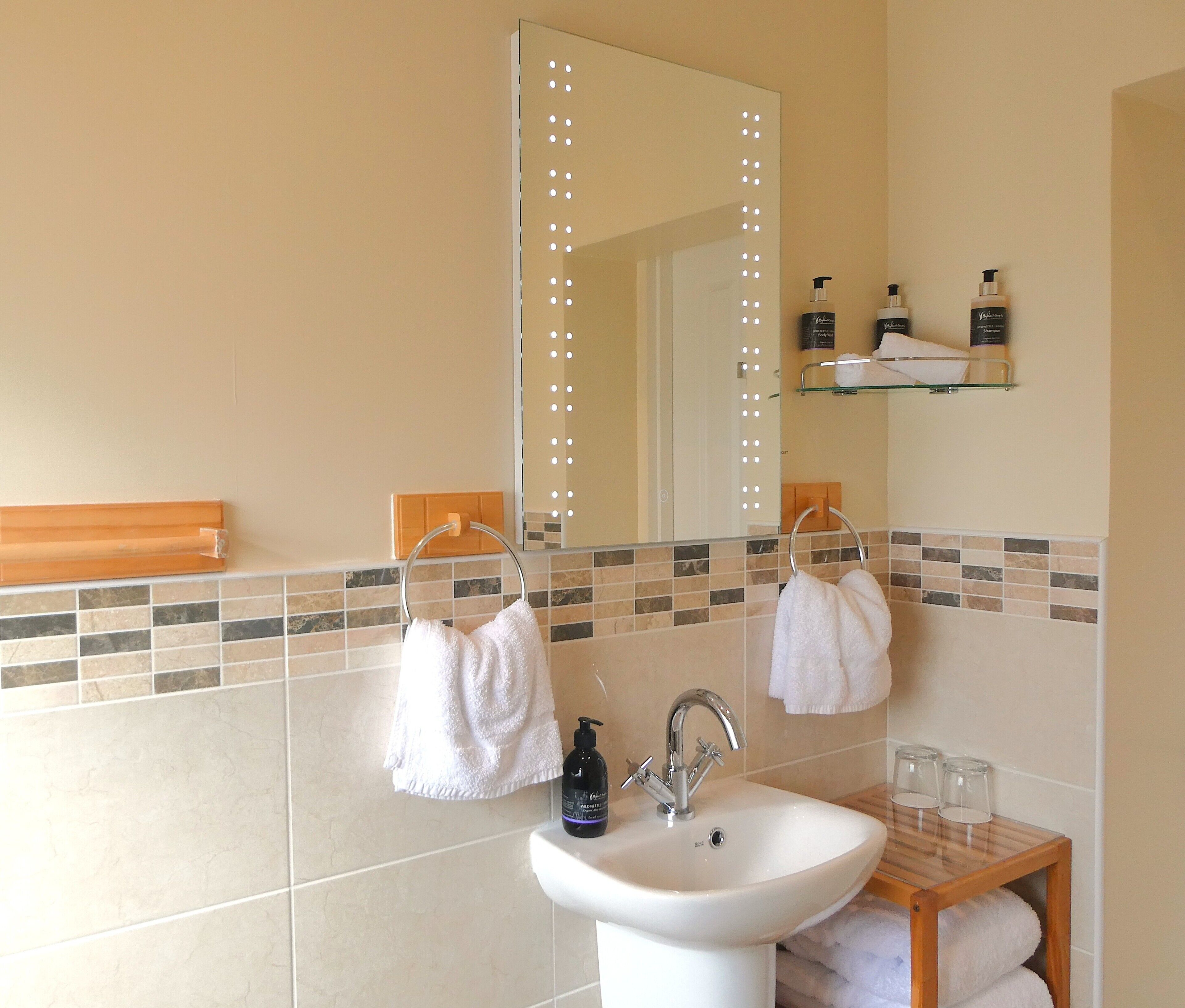 A bathroom with a large mirror, white sink, and two towels hanging on towel rings.