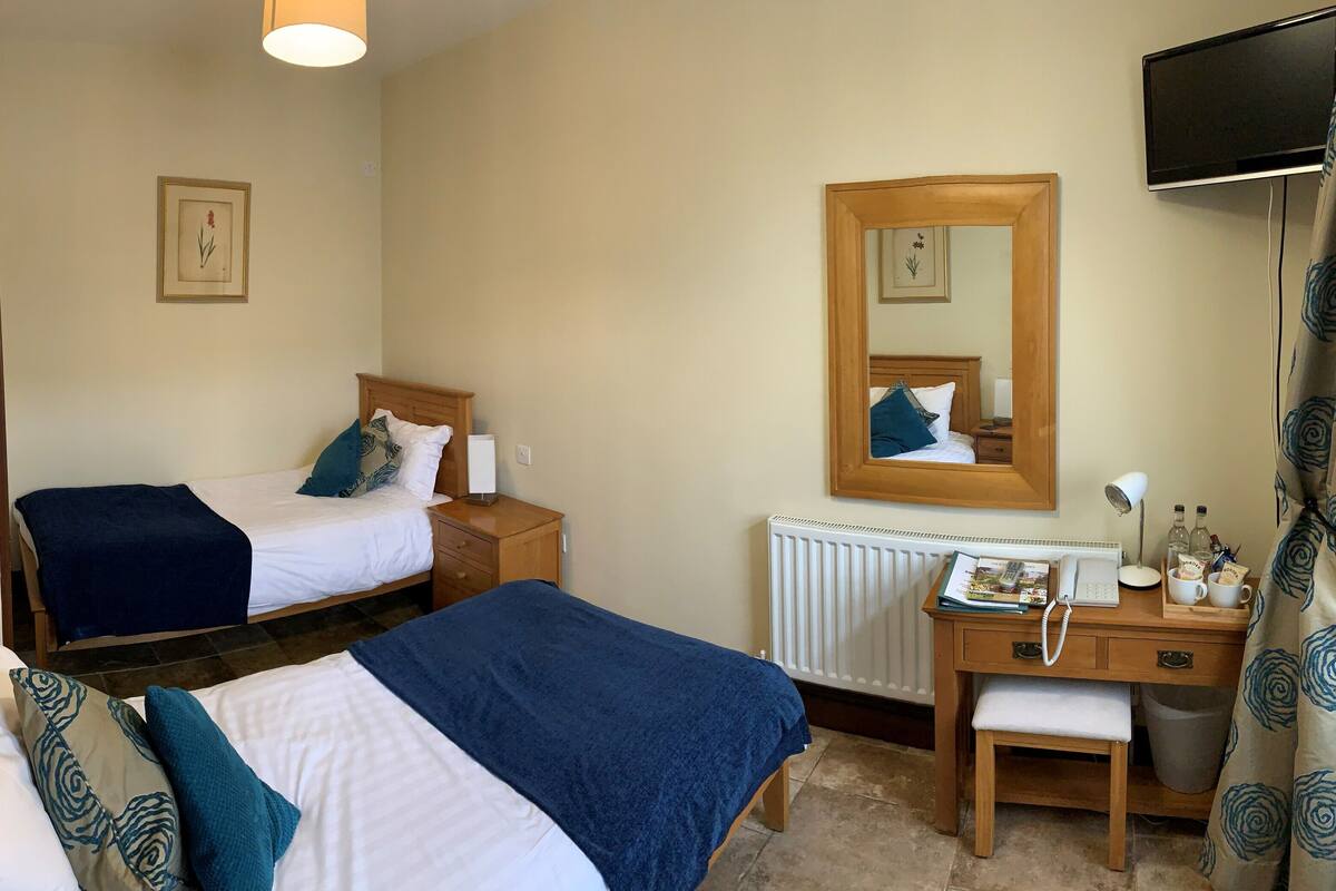A hotel room with two single beds, a wooden desk with a chair, a mirror, a radiator, and a television on the wall.