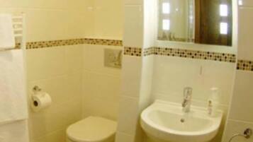 A bathroom with a toilet, sink, and mirror.