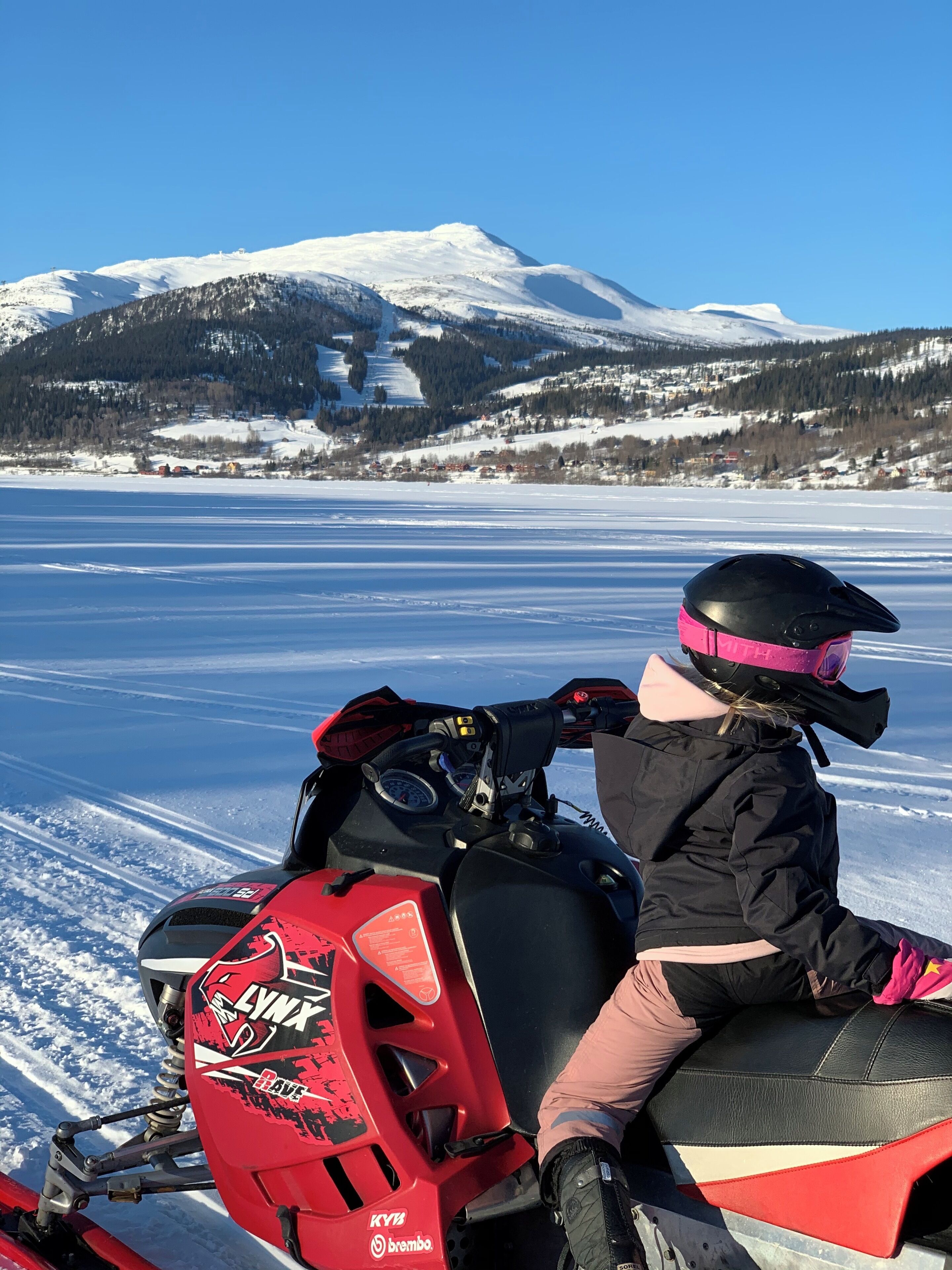 A snowmobile with a red and black design, a rider in a pink helmet and black jacket, and a snowy landscape with mountains in the background.