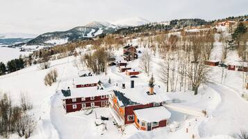 A snow-covered village with red houses and a mountain in the background.
