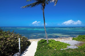 Plage, chaises longues, serviettes de plage