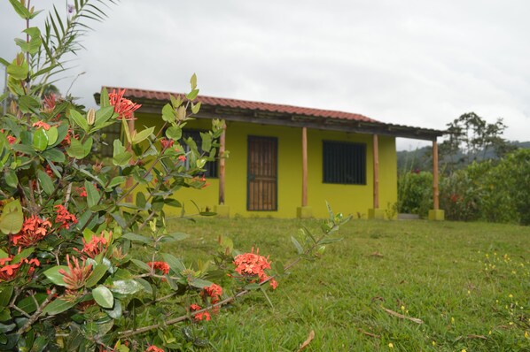 A yellow house with a red roof, surrounded by green grass and orange flowers.