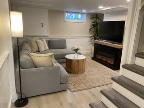 TV connectée, cheminée, lecteur de DVD, livres