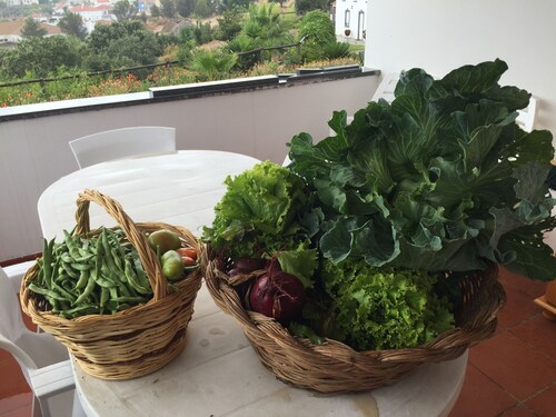 Les couleurs de l'Alentejo à Arraiolos