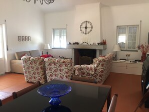 TV, fireplace, DVD player, video library