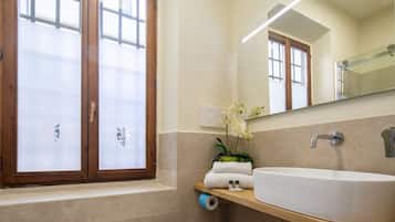 Shower, hair dryer, bidet, towels