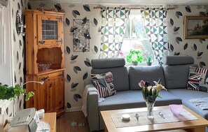 TV, fireplace, DVD player