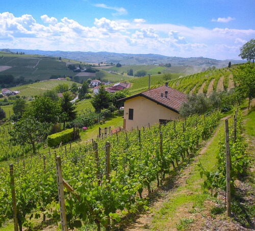 FARMHOUSE IN THE MIDDLE OF THE VINEYARDS IN NIZZA MONFERRATO