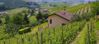 FARMHOUSE IN THE MIDDLE OF THE VINEYARDS IN NIZZA MONFERRATO