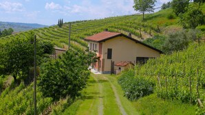 Una casa rural con tejado rojo, rodeada de viñedos verdes y un cielo despejado.