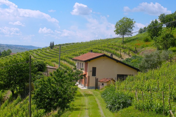 La cascina - The farmhouse