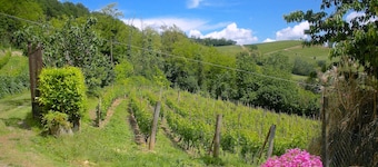 FARMHOUSE IN THE MIDDLE OF THE VINEYARDS IN NIZZA MONFERRATO