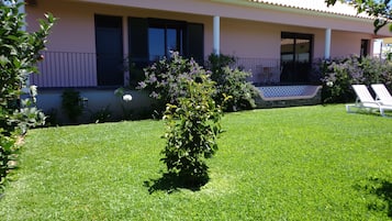 Área da propriedade