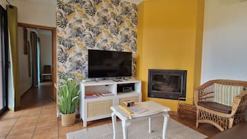 Smart TV, fireplace, DVD player, books