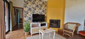 Smart TV, fireplace, DVD player, books