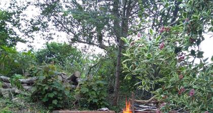 Characterful cottage in beautiful, quiet, rural location close to the coast.