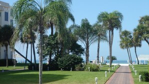A pathway lined with palm trees leading to a beach, with a building on the left and a clear sky above. - Island House Beach Resort 13N (Siesta Key)