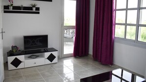 TV
