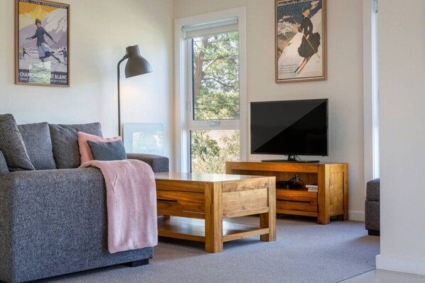 TV, Netflix, DVD player, streaming services