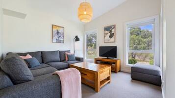 Televisie, Netflix, een dvd-speler en streamingdiensten