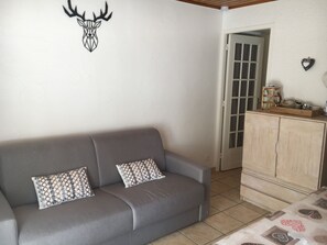 TV, DVD player, books