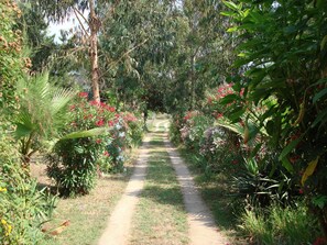 Áreas de la propiedad