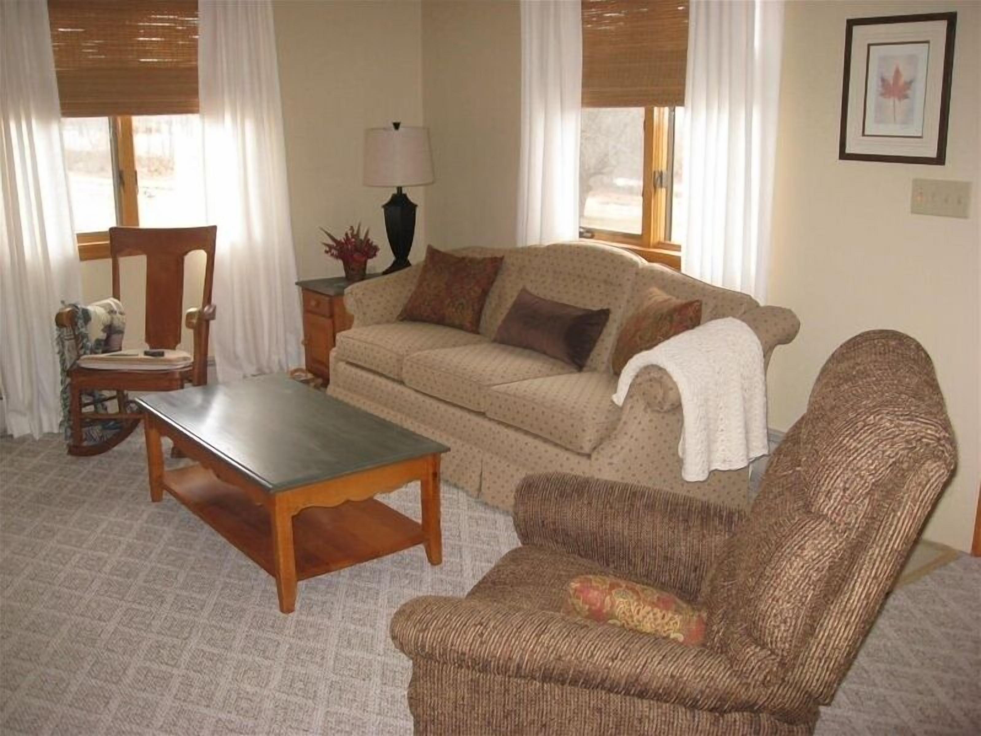 Smart TV, fireplace, DVD player, books