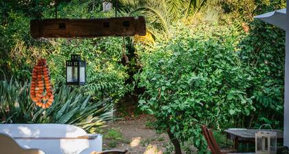 Il Palmento Di Salina is a typical Aeolian private house with a terrace and garden with sea views