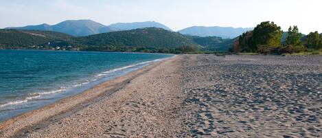 Playa