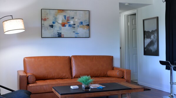 Smart TV, DVD player, video library