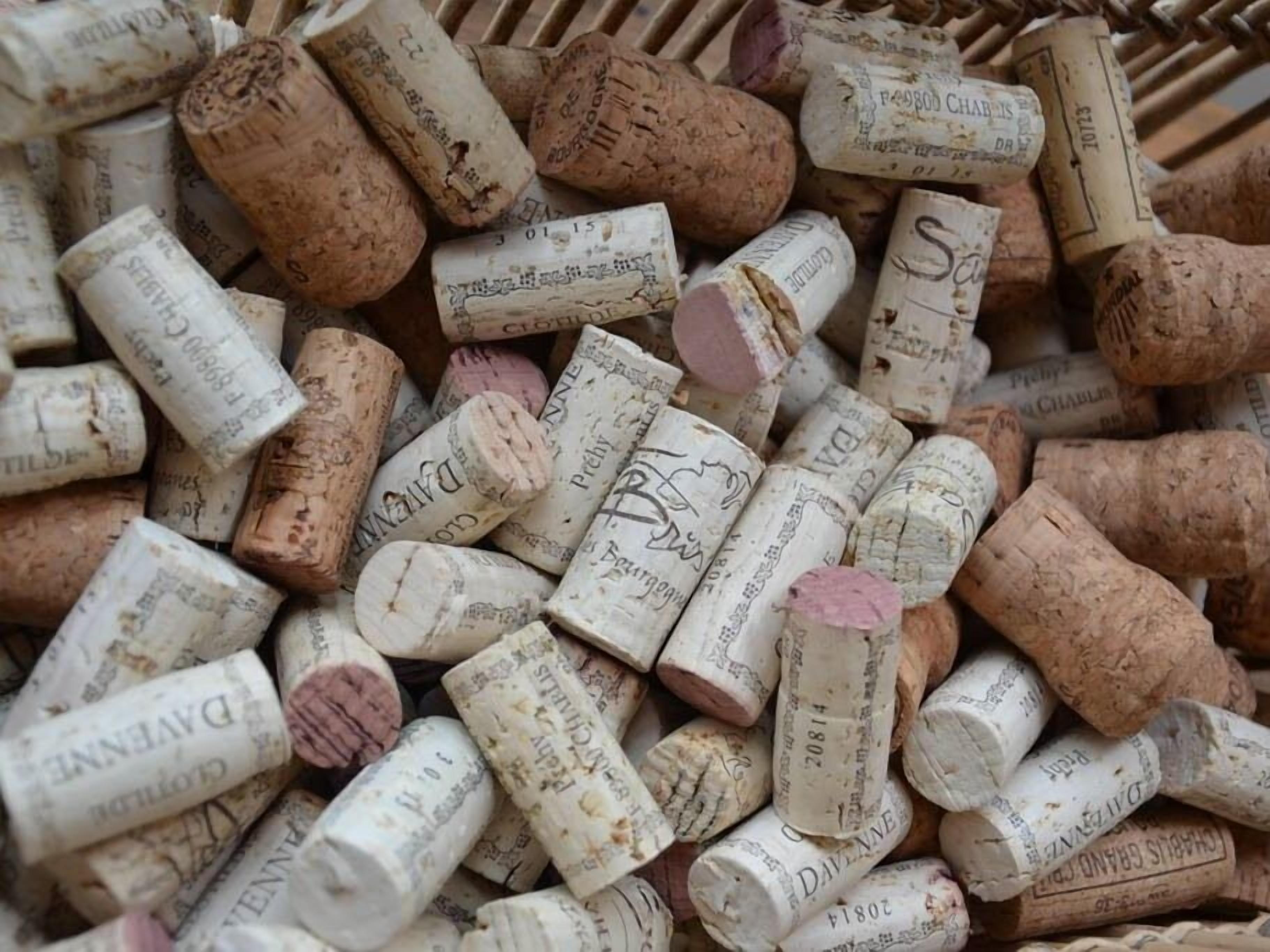 Una colección de corchos de vino con etiquetas impresas.