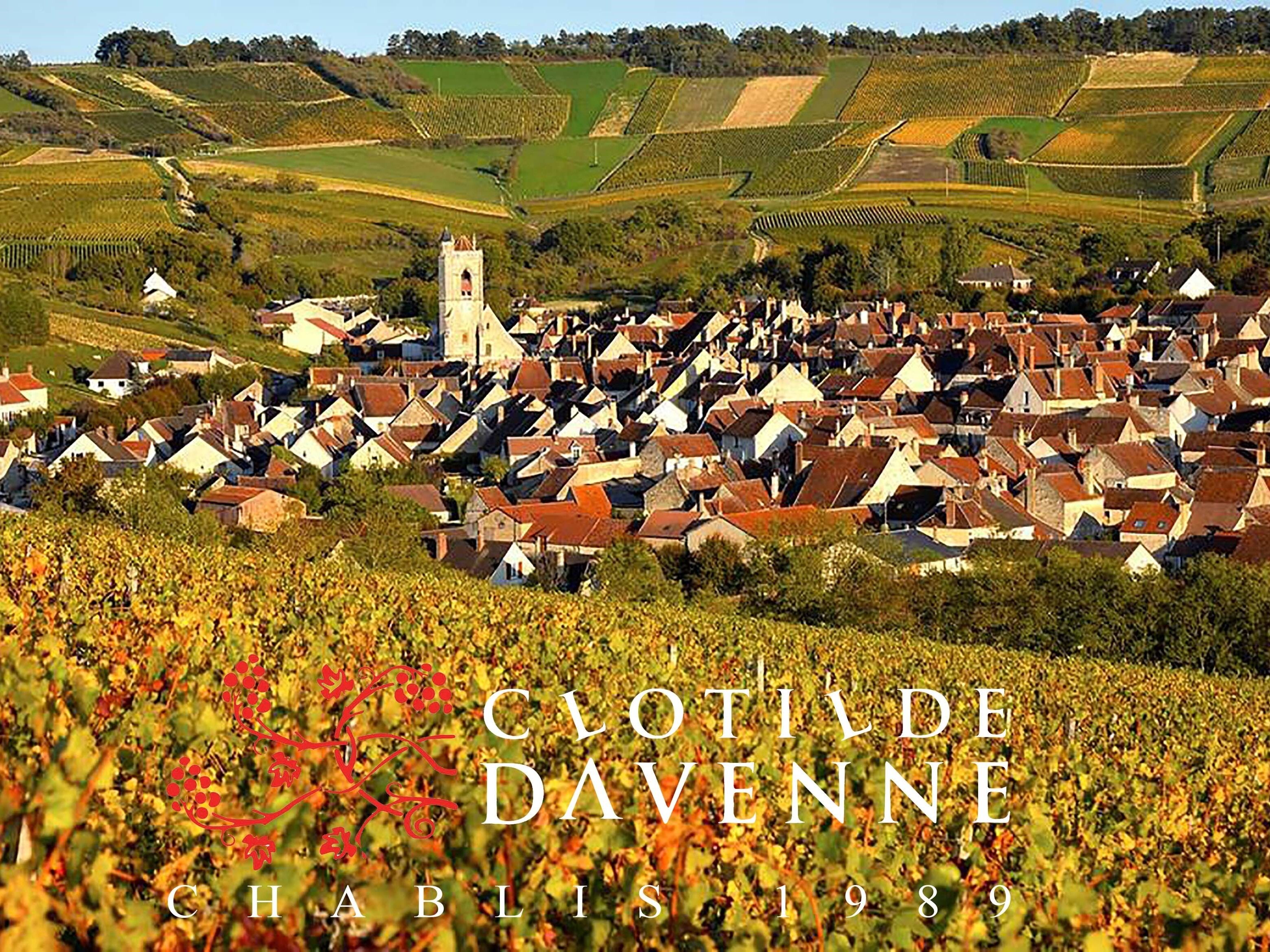 A vineyard landscape with a village and a church tower.