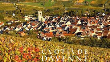 A vineyard landscape with a village and a church tower.